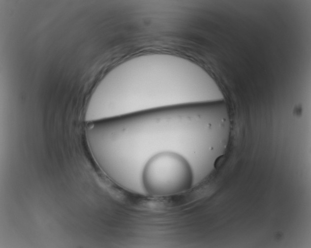 X0000116790466200912181059