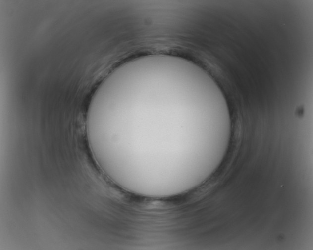 X0000116790467200912181059