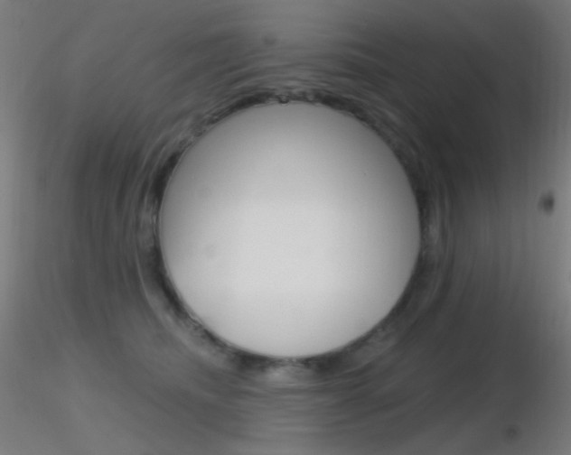 X0000116790468200912181059