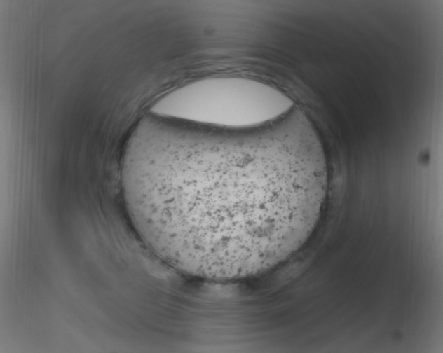 X0000116790469200912181059