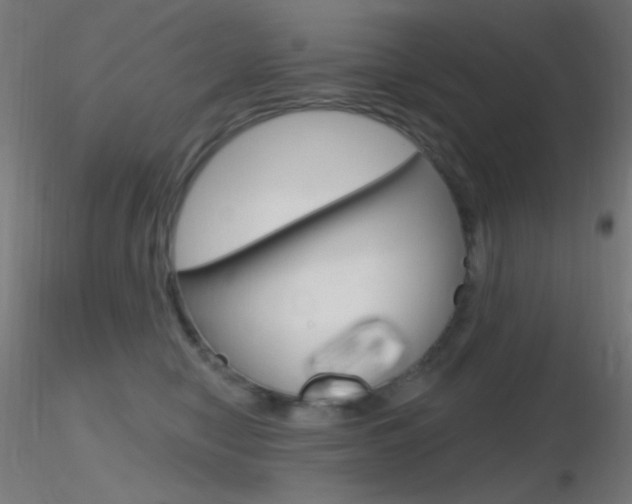 X0000116790470200912181059