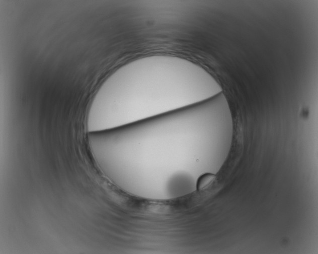 X0000116790471200912181059