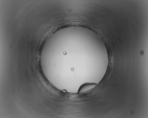 X0000116790472200912181059