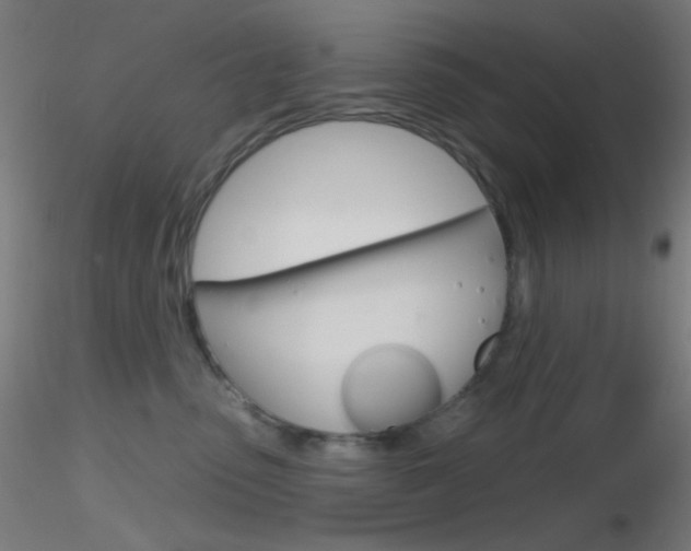 X0000116790475200912181059