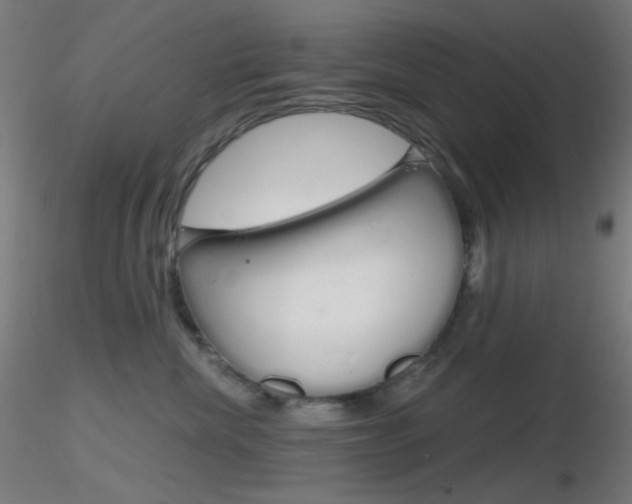 X0000116790476200912181059