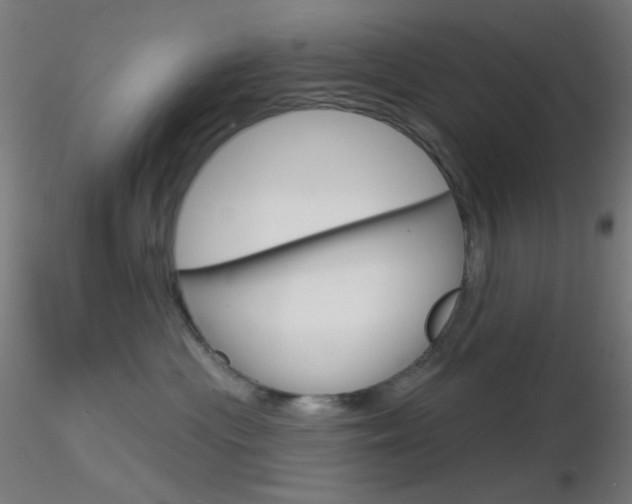 X0000116790477200912181059