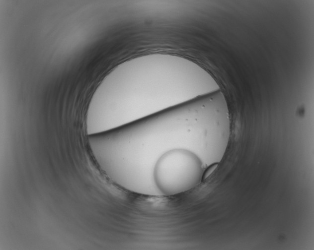 X0000116790478200912181059