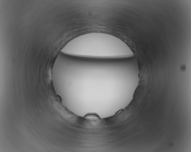 X0000116790479200912181059