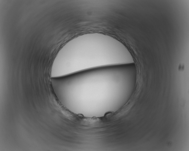 X0000116790480200912181059