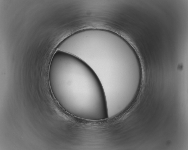 X0000116790481200912181058
