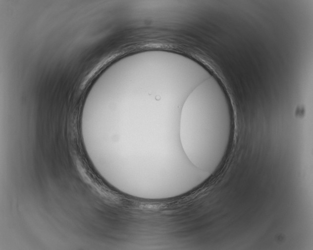X0000116790482200912181058