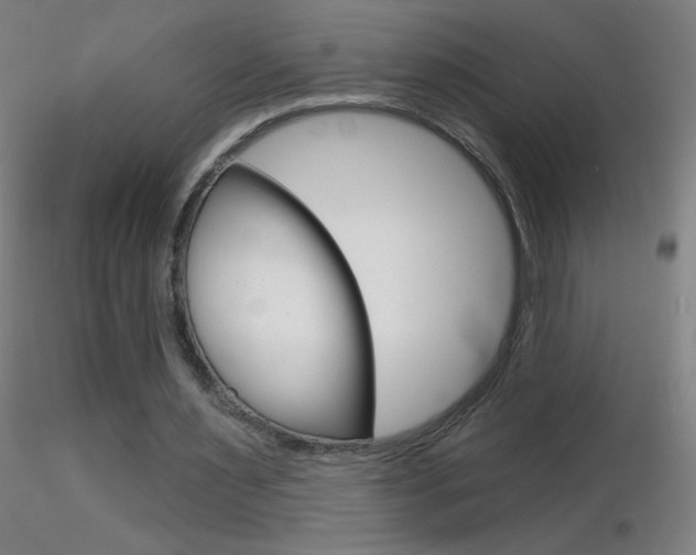 X0000116790483200912181058