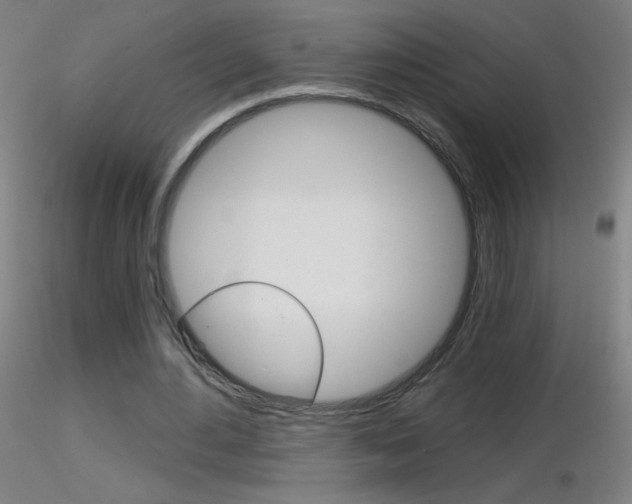 X0000116790484200912181058