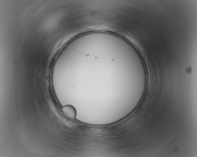 X0000116790486200912181058