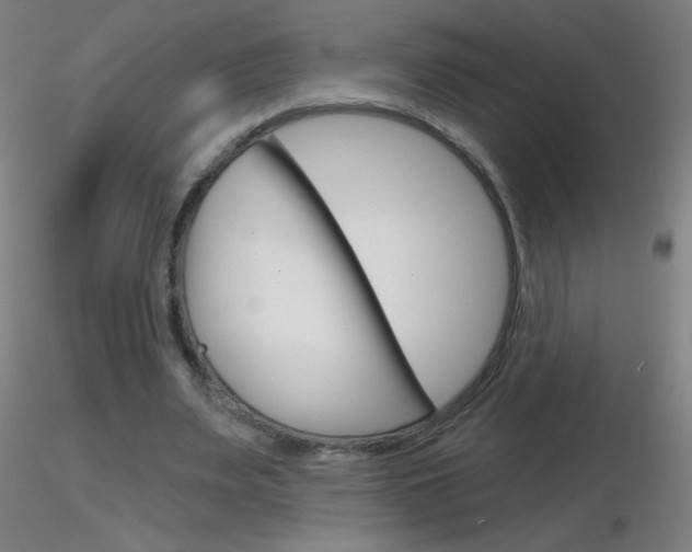 X0000116790487200912181058