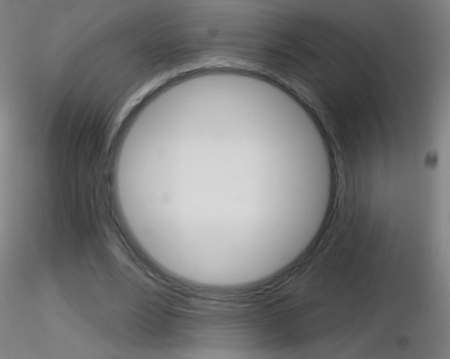 X0000116790488200912181058