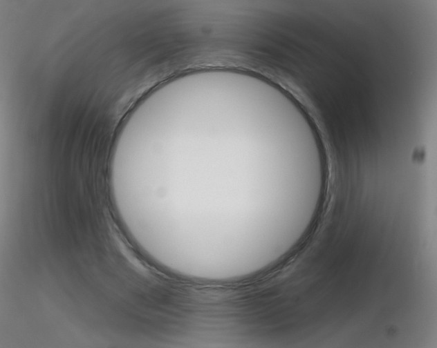 X0000116790489200912181058