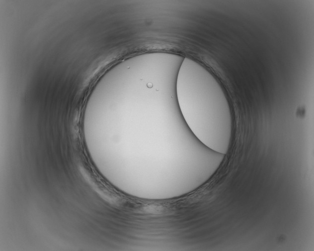 X0000116790490200912181058