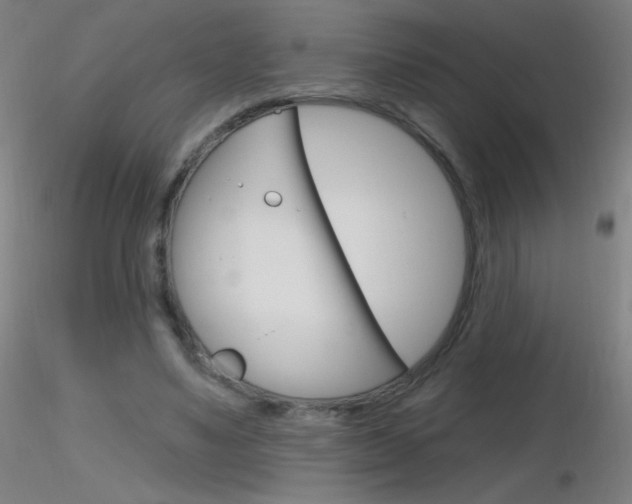 X0000116790491200912181058