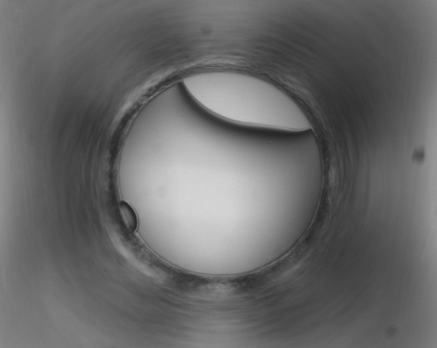 X0000116790492200912181058