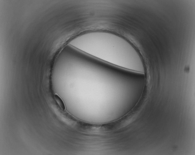 X0000116790493200912181058