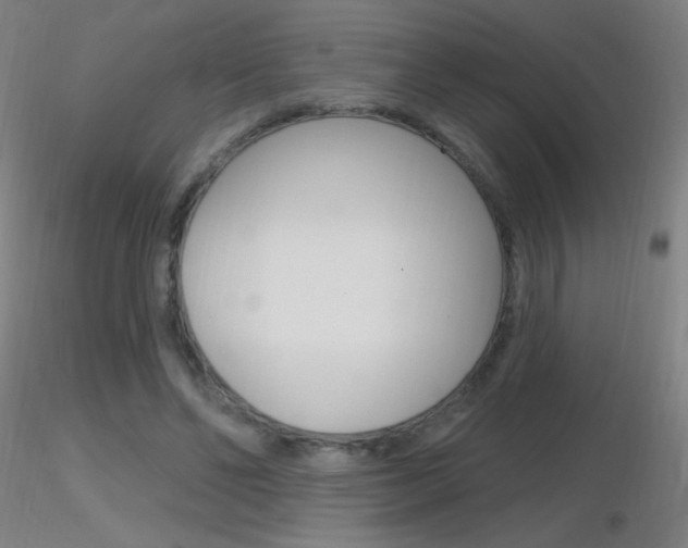 X0000116790494200912181058