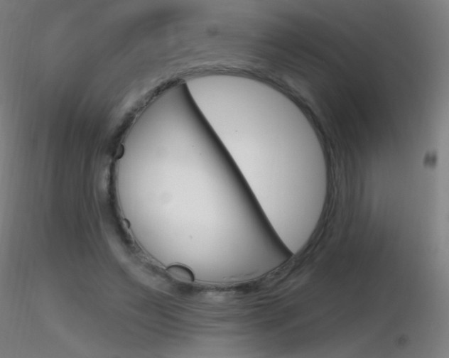 X0000116790495200912181058