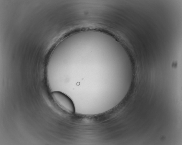X0000116790496200912181058