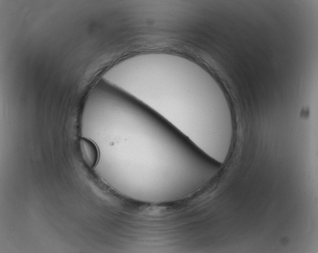X0000116790497200912181058
