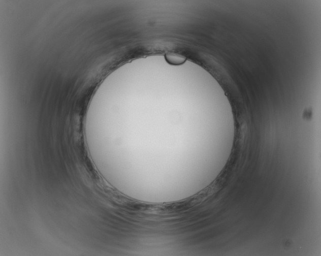 X0000116790498200912181058