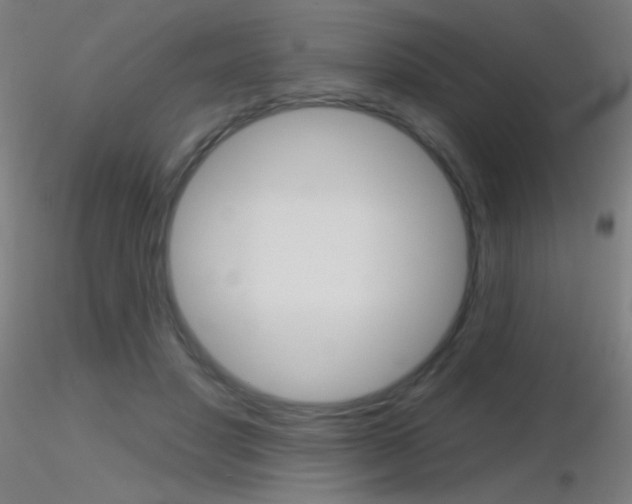 X0000116790501200912181058