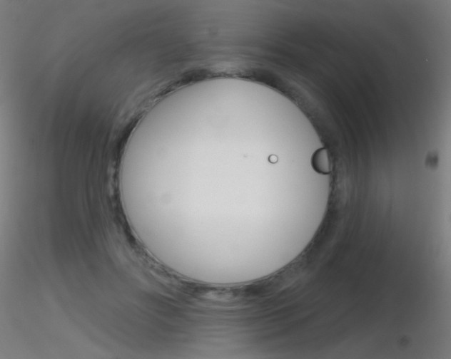 X0000116790502200912181058