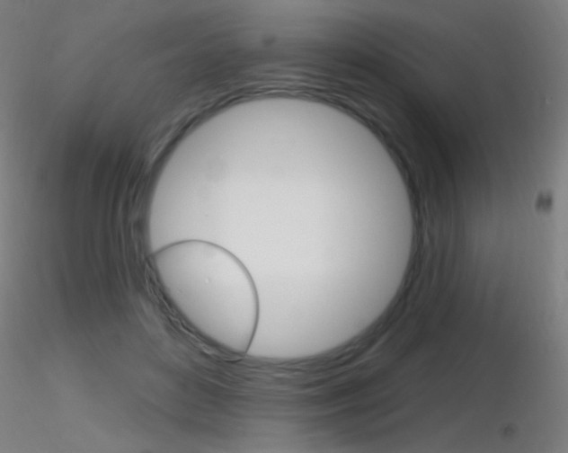 X0000116790504200912181058