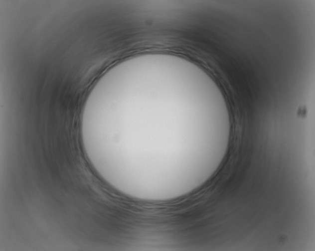 X0000116790505200912181058