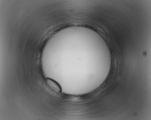 X0000116790507200912181058