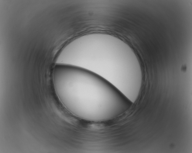 X0000116790508200912181058