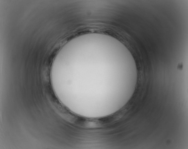 X0000116790510200912181058