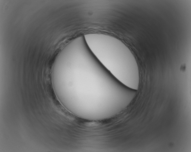 X0000116790511200912181058