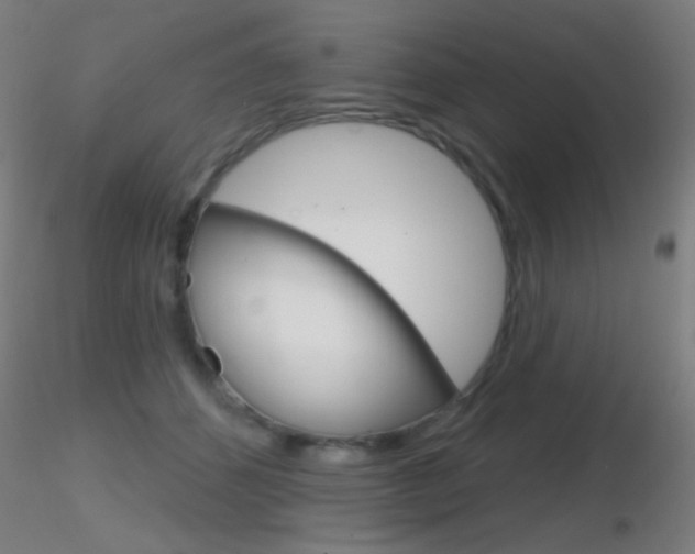 X0000116790512200912181058