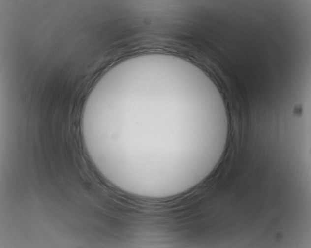 X0000116790513200912181058