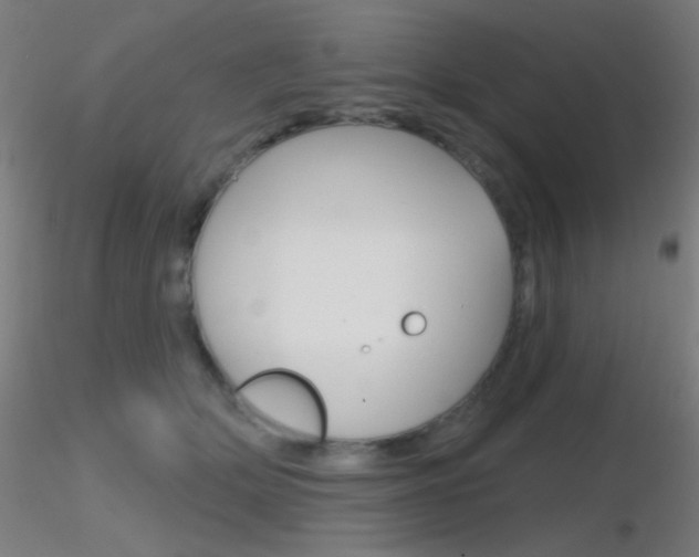 X0000116790514200912181058