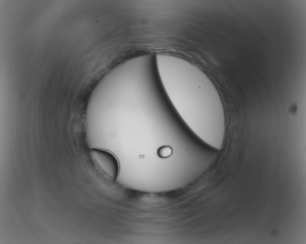 X0000116790515200912181057