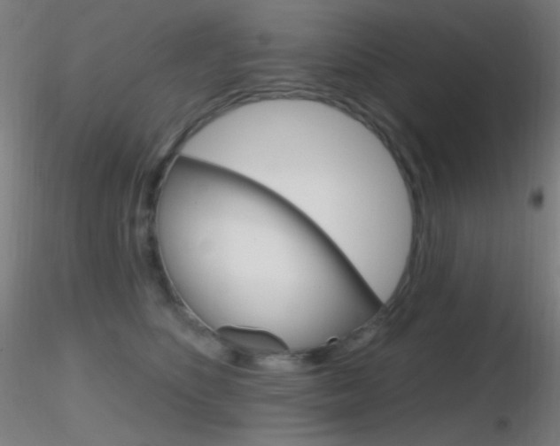 X0000116790516200912181057