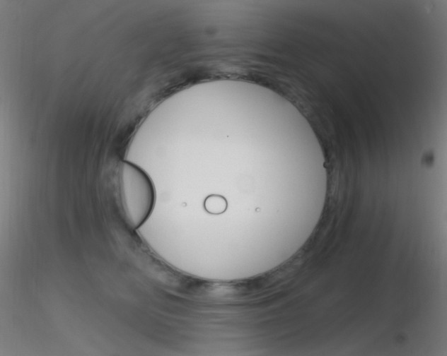 X0000116790518200912181057