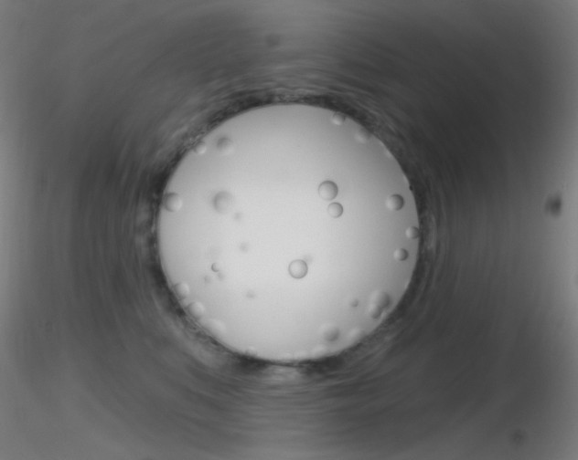 X0000116790519200912181057