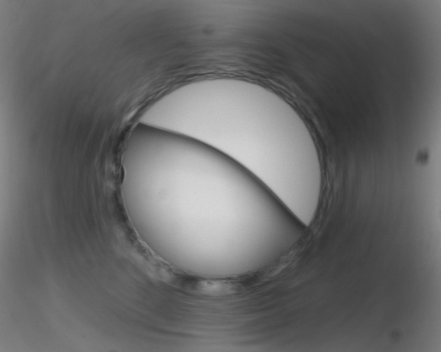 X0000116790520200912181057
