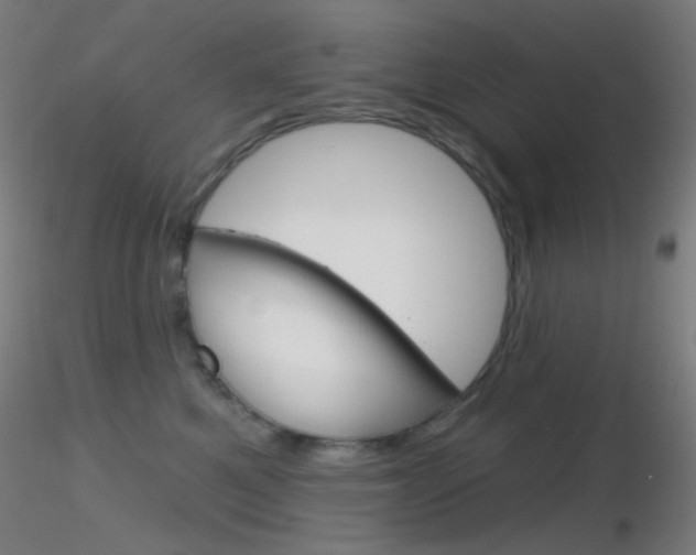 X0000116790521200912181057