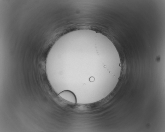 X0000116790522200912181057
