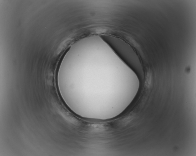 X0000116790524200912181057