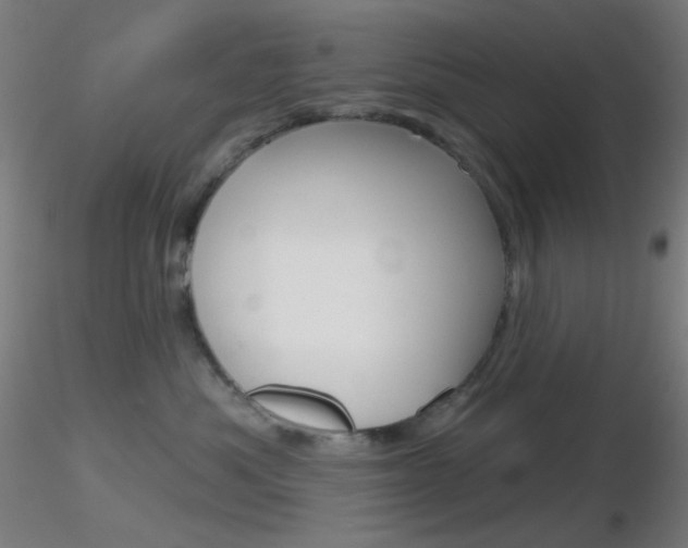 X0000116790525200912181057